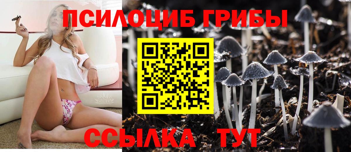 Галлюциногенные грибы мицелий  Вход с VPN  Донской 